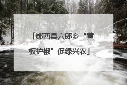 郧西县六郎乡“黄板护椒”促绿兴农